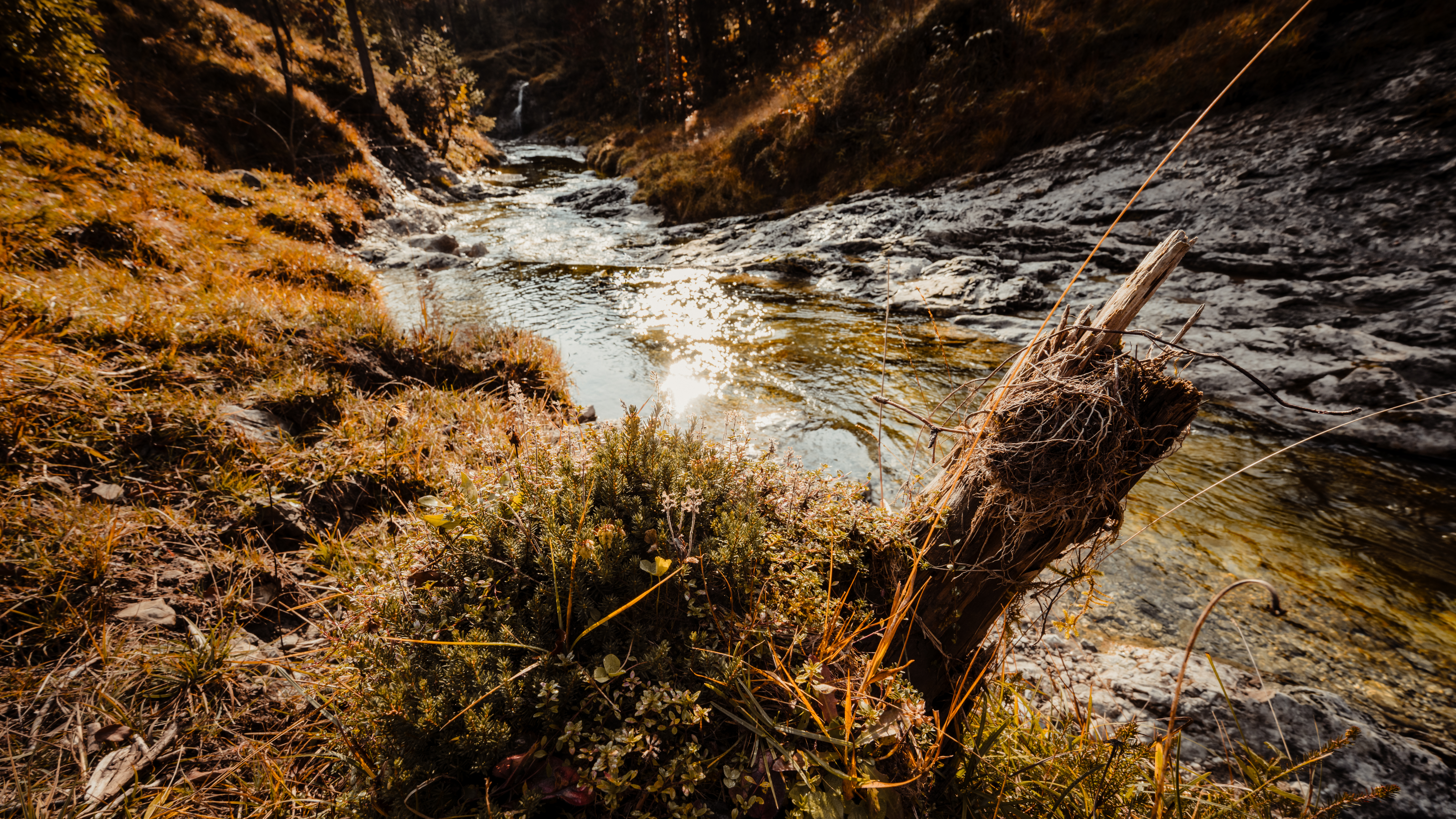 Schronbachtal    0754